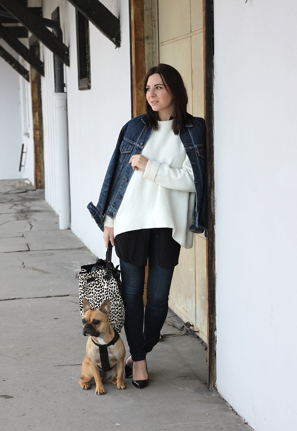 fashionblog, blogger tirol, skinny high waist jeans, layering, oversize knit, jeansjacke levis, franzoesische bulldogge, fawn, pumps zara, animal print bag, leopard tasche zara, kleid COS