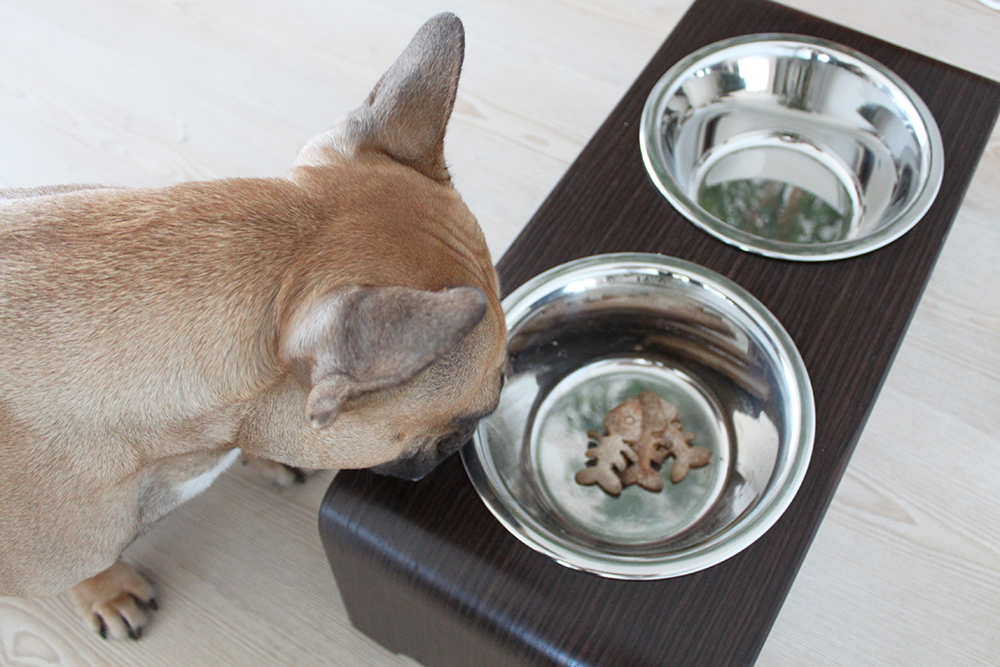 who is mocca, blogger tirol, fashionblog, foodblogger, hundekekse, haferflocken, miacara, dogbar, rezept, hundenapf, frenchie, husky, fischgraete, ausstechform, Haferflocken-Kekse für Hunde