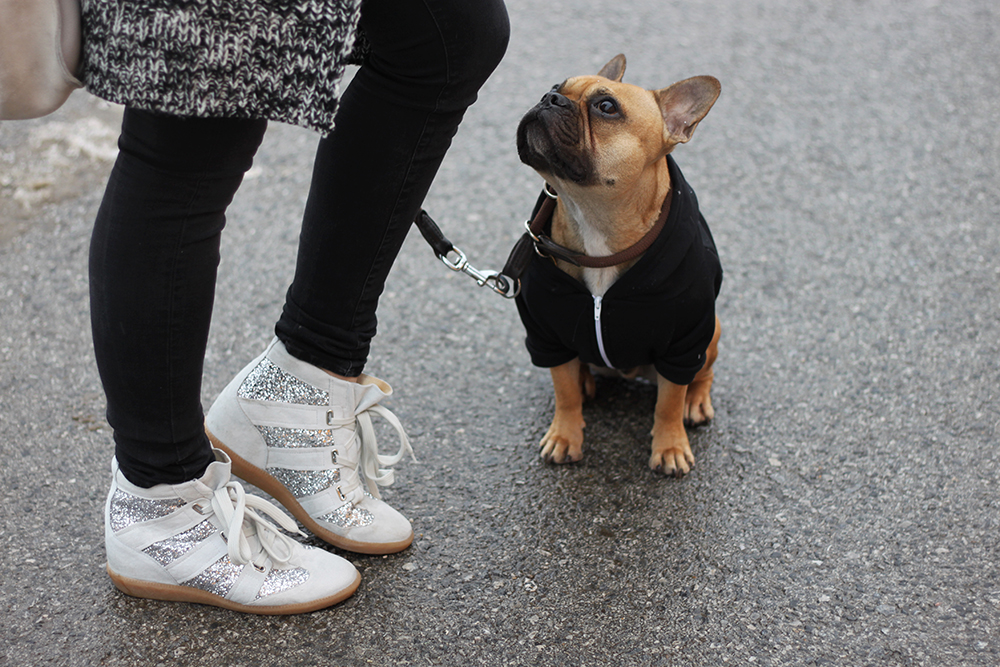 who is mocca, blogger tirol, fashionblog, beautyblog, interiorblog, ootd, französische bulldogge, french bulldog, fawn, american apparel, zara, materialmix, sneaker wedges, manas, sarenza, isabel marant lookalikes, rote lippen mac viva glam, shopper veloursleder zara, 