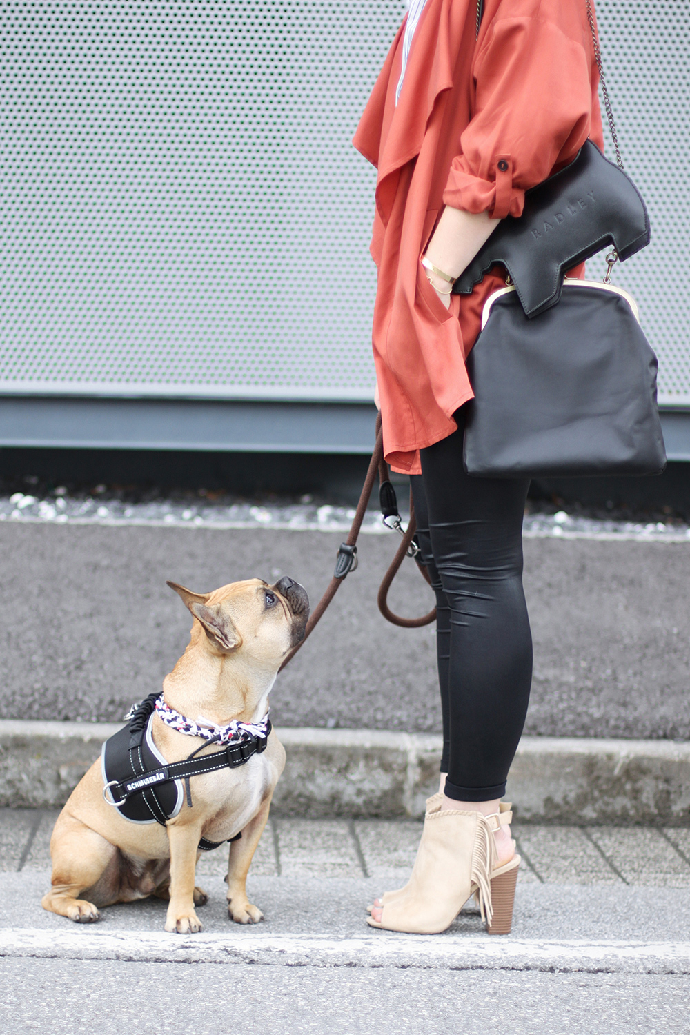 who is mocca, modeblog, fashionblog, german blogger, austrian blogger, marsala trench coat, frenchie, justfab booties, fringe boots, marsala trendfarbe 2015 kombinieren, innsbruck dez streetstyle, radley london dog bag, whoismocca.me