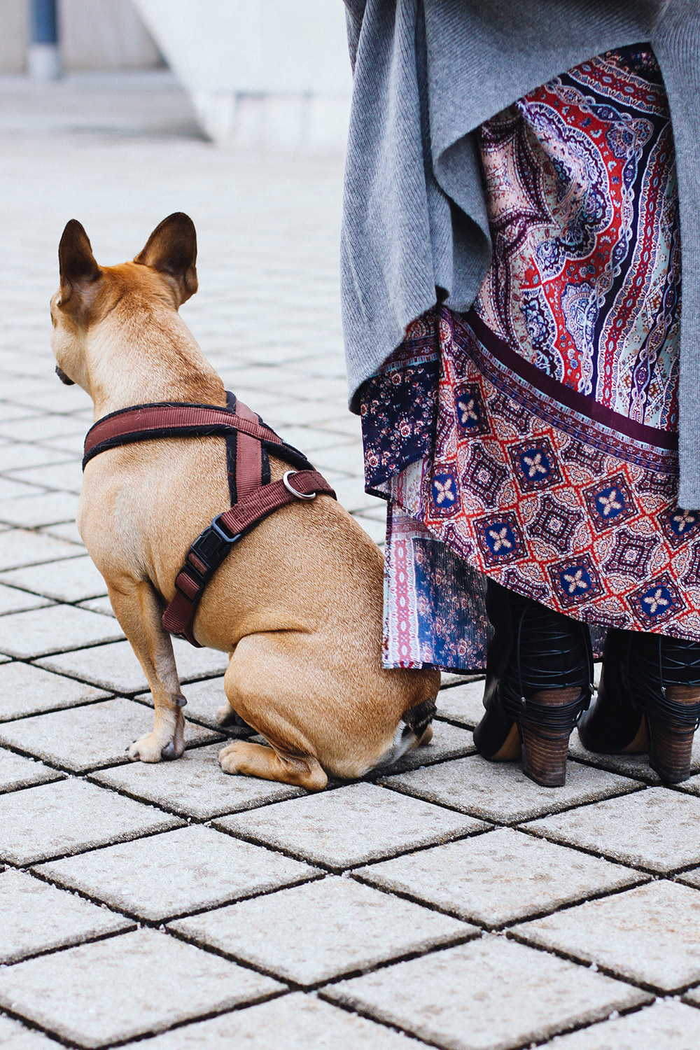 who is mocca, modeblog, fashionblog, herbstoutfit, maxikleid, lederjacke, langer cardigan, oasis fashion, lookbook, streetstyle innsbruck, chanel classic flap bag, sam edelman martina bots, whoismocca.me