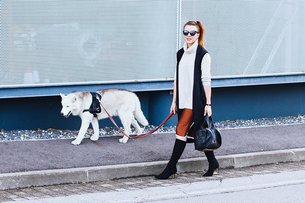 who is mocca, modeblog, fashionblog, rollkragen pullover kombinieren, stretchstiefel, culotte, kurze hose, boden onlineshop, husky, streetstyle innsbruck, fashionblog österreich, alexander wang Rocco bag, whoismocca.me