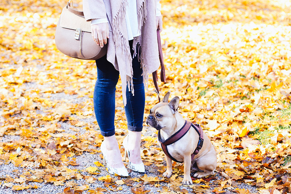 who is mocca, modeblog, fashionblog, herbstoutfit inspiration, fransenjacke outfit, fransenjacke kombinieren, frenchie, schloss ambras, innsbruck, streetstyle, river island pumps, fedora christy madison, chloe dupe lookalike, whoismocca.me