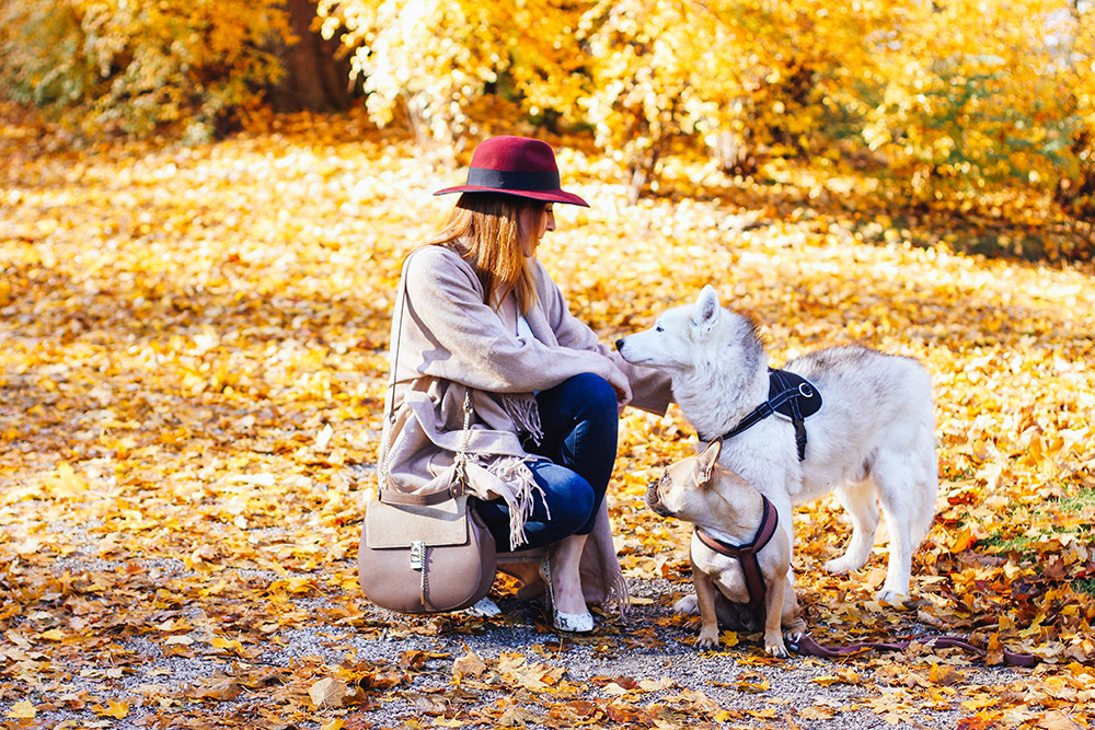 who is mocca, modeblog, fashionblog, herbstoutfit inspiration, fransenjacke outfit, fransenjacke kombinieren, frenchie, schloss ambras, innsbruck, streetstyle, river island pumps, fedora christy madison, chloe dupe lookalike, whoismocca.me