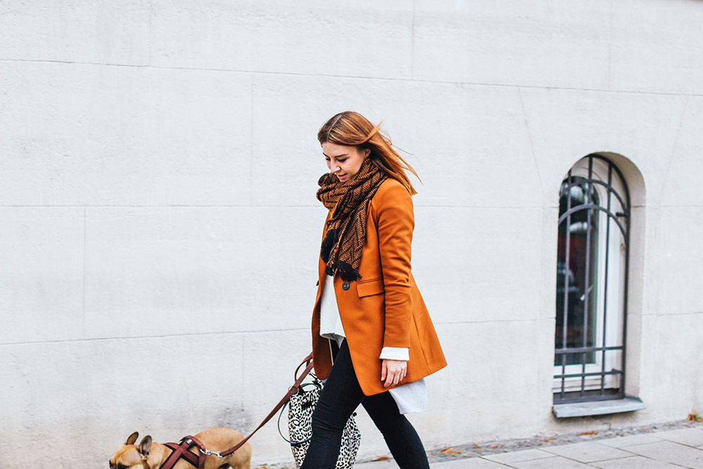 who is mocca, modeblogger, fashionblogger, cognac blazer, outfit blazer, herbstoutfit, winter outfit, cheap monday skinny jeans, animal print tasche, oversize schal zara, whoismocca.me