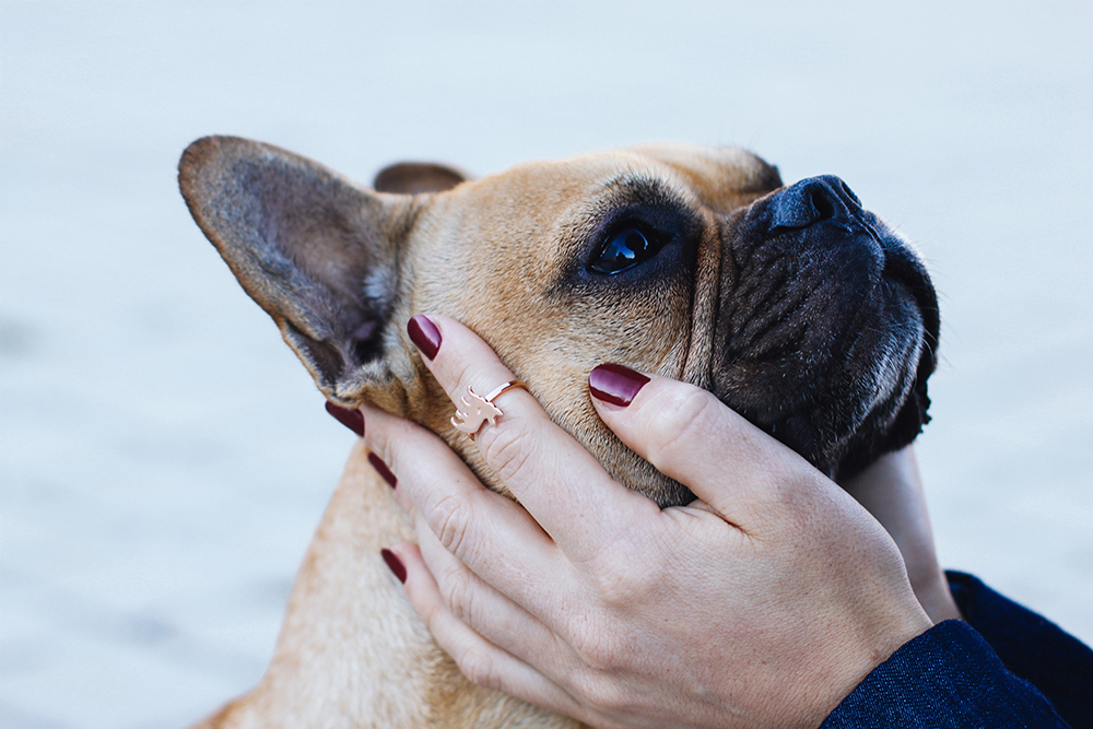 who is mocca, modeblogger österreich, fashionblogger deutschland, frenchie schmuck, schmuckkollektion französische bulldogge, geschenkidee freundin, geschenkidee freund, Weihnachtsgeschenke, Valentinstag geschenke, geburtstagsgeschenke, Hunde fan Geschenk, whoismocca.me