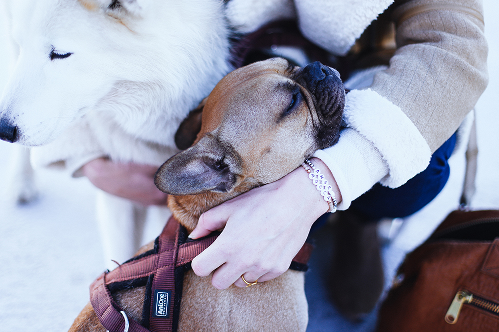 who is mocca, modeblogger, fashionblogger, acne lookalike biker jacke, velocite jacket, zara acne jacke, husky, innsbruck, streetstyle, frenchie, skinny jeans, layering, lagenlook, whoismocca.me, wenn ich ein Hund wäre, zweierlei, kolumne