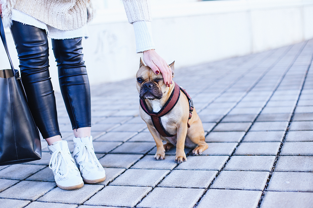 who is mocca, modeblogger österreich, fashionblogger tirol, influencer, fake fur weste, outfit lederhose, sneaker wedges kombinieren, frenchie, winteroutfit, whoismocca.me