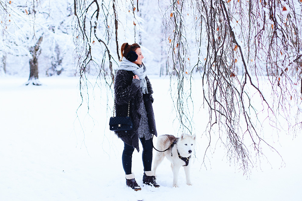 Isabel Marant Lookalike Winter Boots, Who is Mocca, Fashion Blog Österreich, deutscher Fashion Blog, layering, Schnee outfit, schloss Ambras, innsbruck Streetstyle, sibirischer Husky, Modeblog, whoismocca.me