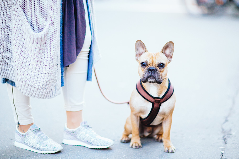 new Balance Outfit, sneaker outfit, strick outfit, layering, lagenlook, free people jeans, free people kleid, gucci dionysus tasche, innsbruck streetstyle, whoismocca.me