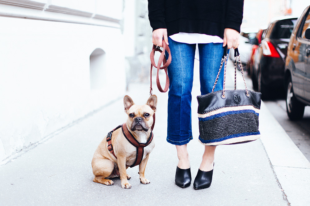 Streetstyle mit Kick Flare Jeans, schwarze Mules, Tory Burch Handtasche, Cold Shoulder Pullover, Bandana, Fashion Blog, Fashion Magazine, Modeblog, whoismocca.me