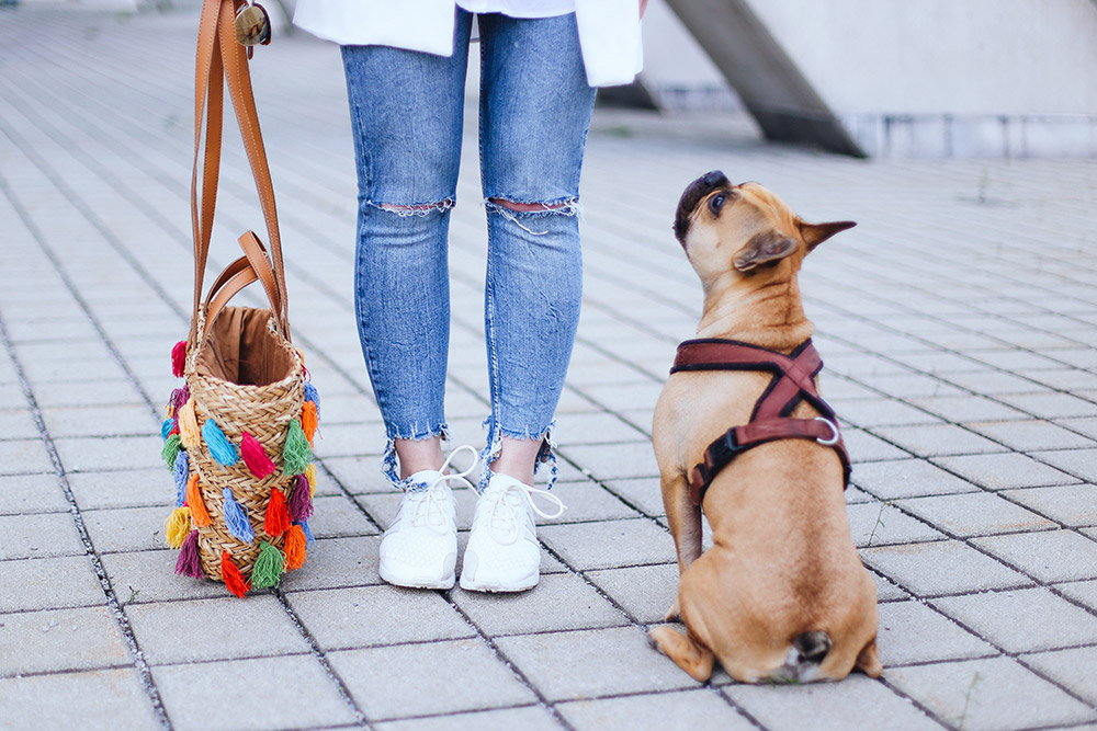 Outfit mit Strohtasche, Pepe Jeans Strohtasche, weiße Adidas Sneaker, ripped Jeans, weißer Blazer, Modeblog, Fashion Magazin, Blogazine, whoismocca.me