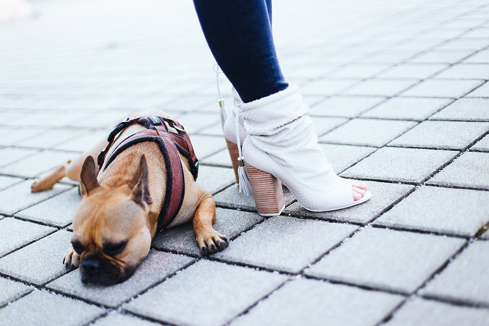 Peeptoe Booties von Guess, Skinny Jeans, Streifenbluse, Stella McCartney Beckett Bag, Fashion Blog, Modeblog, whoismocca.me