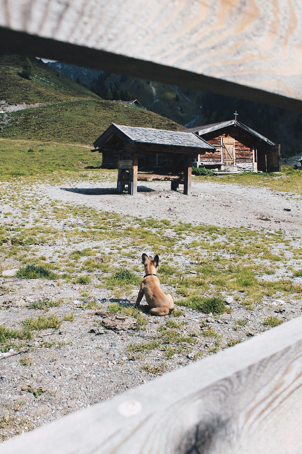 Aufi aufn Berg! Über das Wandern mit Hund in Tirol, Must-Haves, Lifestyle Blog, Tirolblog, whoismocca.me