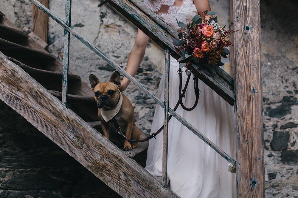 Herbsthochzeit, Style Shoot, Hochzeit in Tirol, Schloss Friedberg, Papeterie, Hochzeitskleid, Stephanie Wolff Paris, Hochzeit mit Hunden, Shooting mit Hunden, fashionblog, modeblog, hochzeitsblog, whoismocca.me