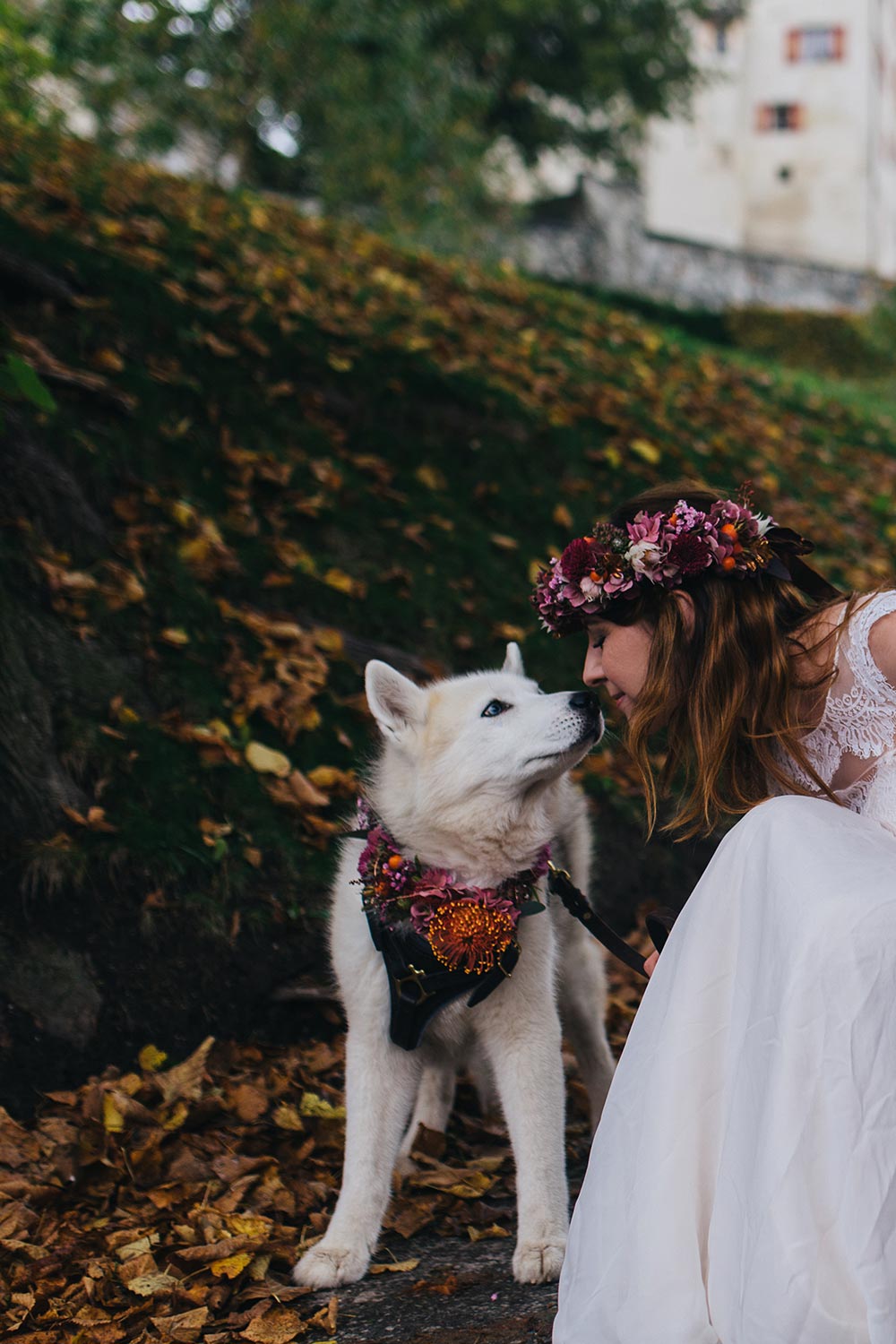 Herbsthochzeit, Style Shoot, Hochzeit in Tirol, Schloss Friedberg, Papeterie, Hochzeitskleid, Stephanie Wolff Paris, Hochzeit mit Hunden, Shooting mit Hunden, fashionblog, modeblog, hochzeitsblog, whoismocca.me