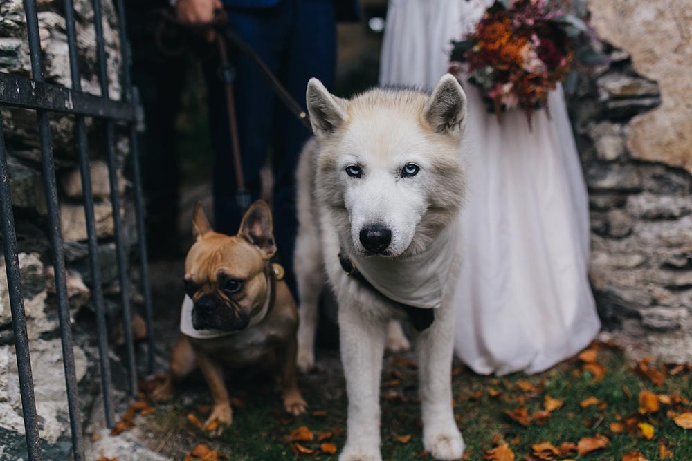 Herbsthochzeit, Style Shoot, Hochzeit in Tirol, Schloss Friedberg, Papeterie, Hochzeitskleid, Stephanie Wolff Paris, Hochzeit mit Hunden, Shooting mit Hunden, fashionblog, modeblog, hochzeitsblog, whoismocca.me