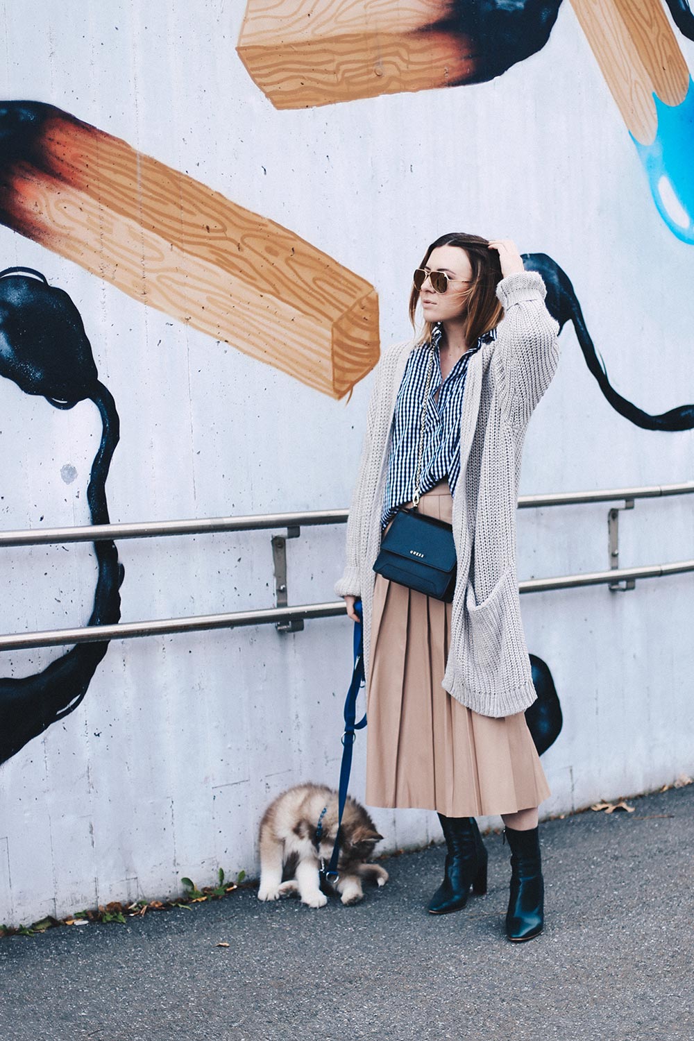 beiger Midi-Lederrock von & other stories, Karohemd und Strick, Outfit Blog, Modeblog, Streetstyle Tirol, Innsbruck, Grafitti, siberian husky puppy, Oversize, Layering, Herbst Outfit, whoismocca.me