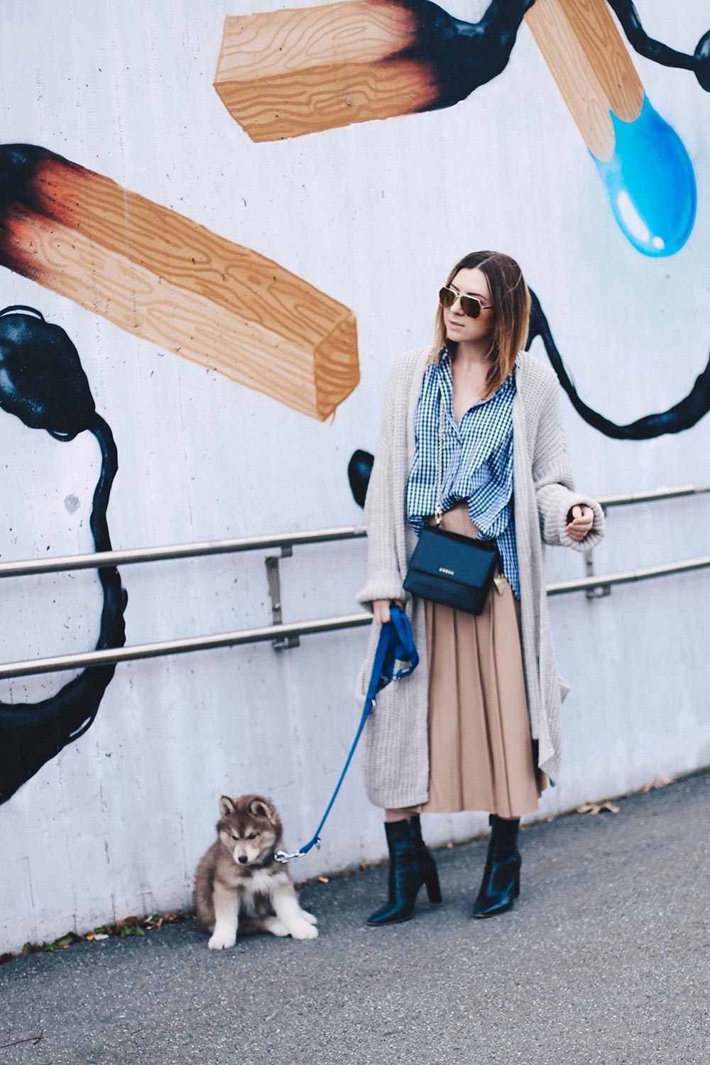 beiger Midi-Lederrock von & other stories, Karohemd und Strick, Outfit Blog, Modeblog, Streetstyle Tirol, Innsbruck, Grafitti, siberian husky puppy, Oversize, Layering, Herbst Outfit, whoismocca.me