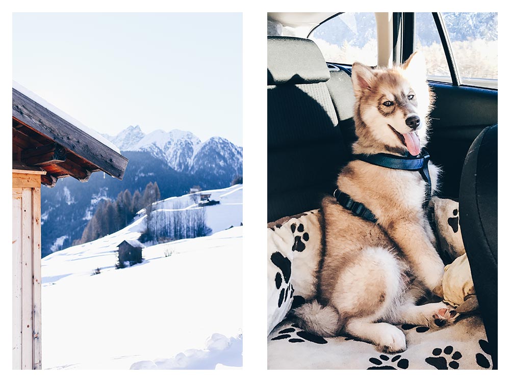 Hundeurlaub Tirol, Winterwochenende in Tirol, Rodeln mit Hund, Serfaus Fiss Ladis, Riederhof Hundehotel, Mazda 6 Kombi im Test, Erfahrungsbericht, Lifestyle Blog, Travelblog, Reiseblog, whoismocca.me