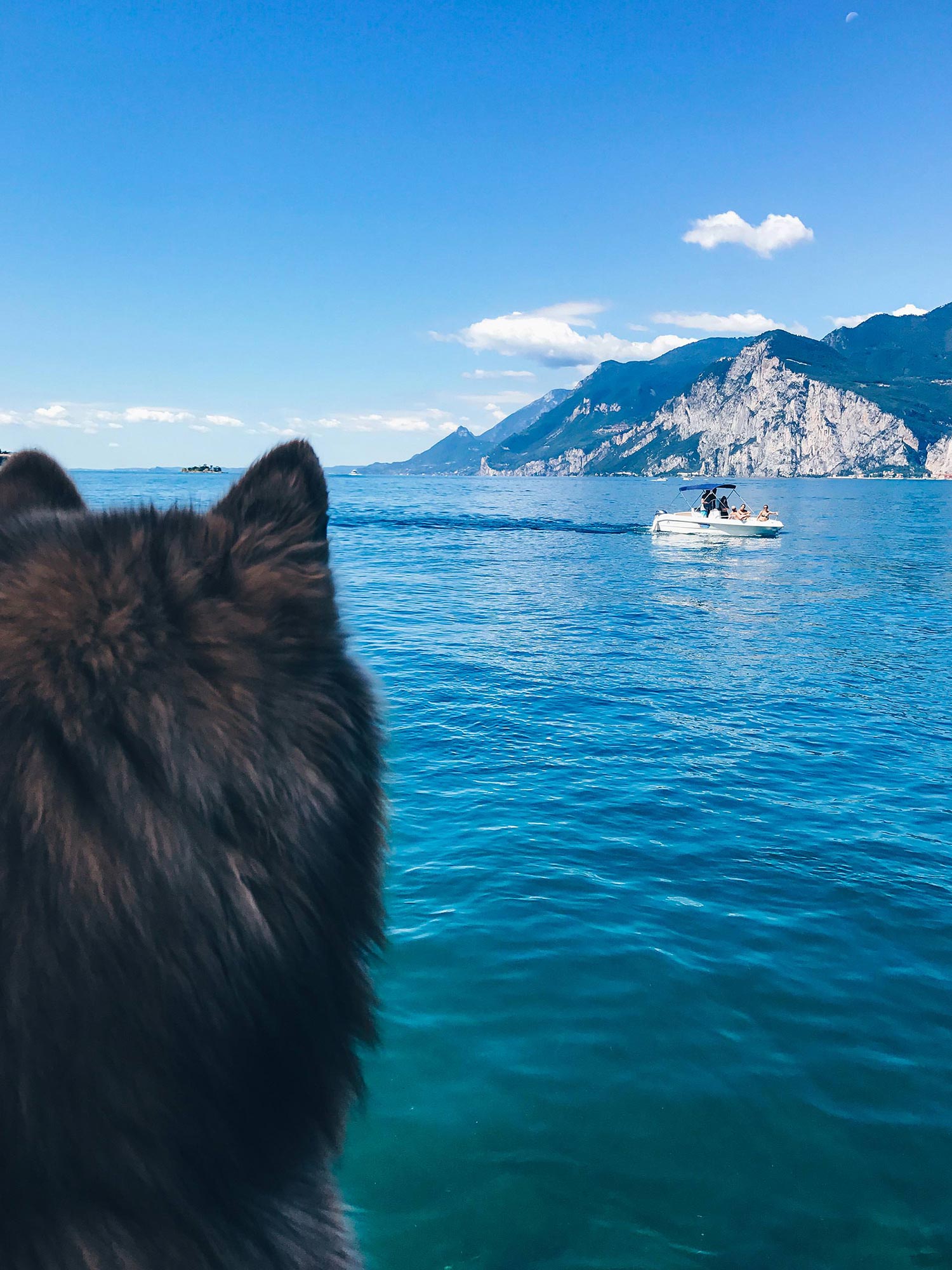 Urlaub mit Hund am Gardasee, Reise Tipps, Reiseblog Tipps, Hotels mit Hund, Restaurants, Torri del Benaco, Malcesine, Style Blog, Magazin, www.whoismocca.me