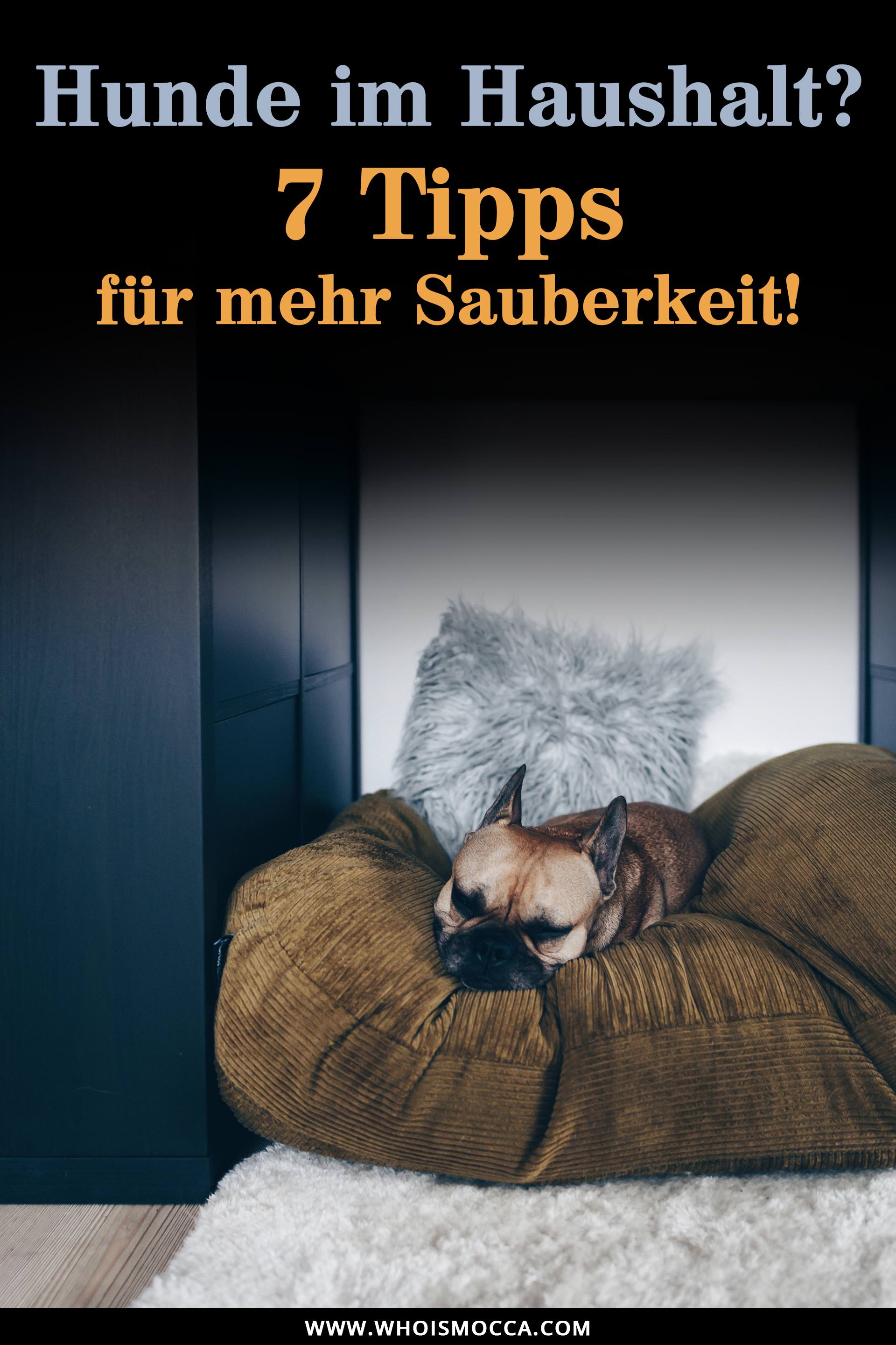 Anzeige, Sauberer Haushalt mit Hund, Alltag und Leben mit Hund, Bona Spray Mop Erfahrungen, Testbericht, Erfahrungsbericht, Produkttest, Hundeblog, Tipps und Tricks, Style Blog, sibirischer Husky, französische Bulldogge, www.whoismocca.me