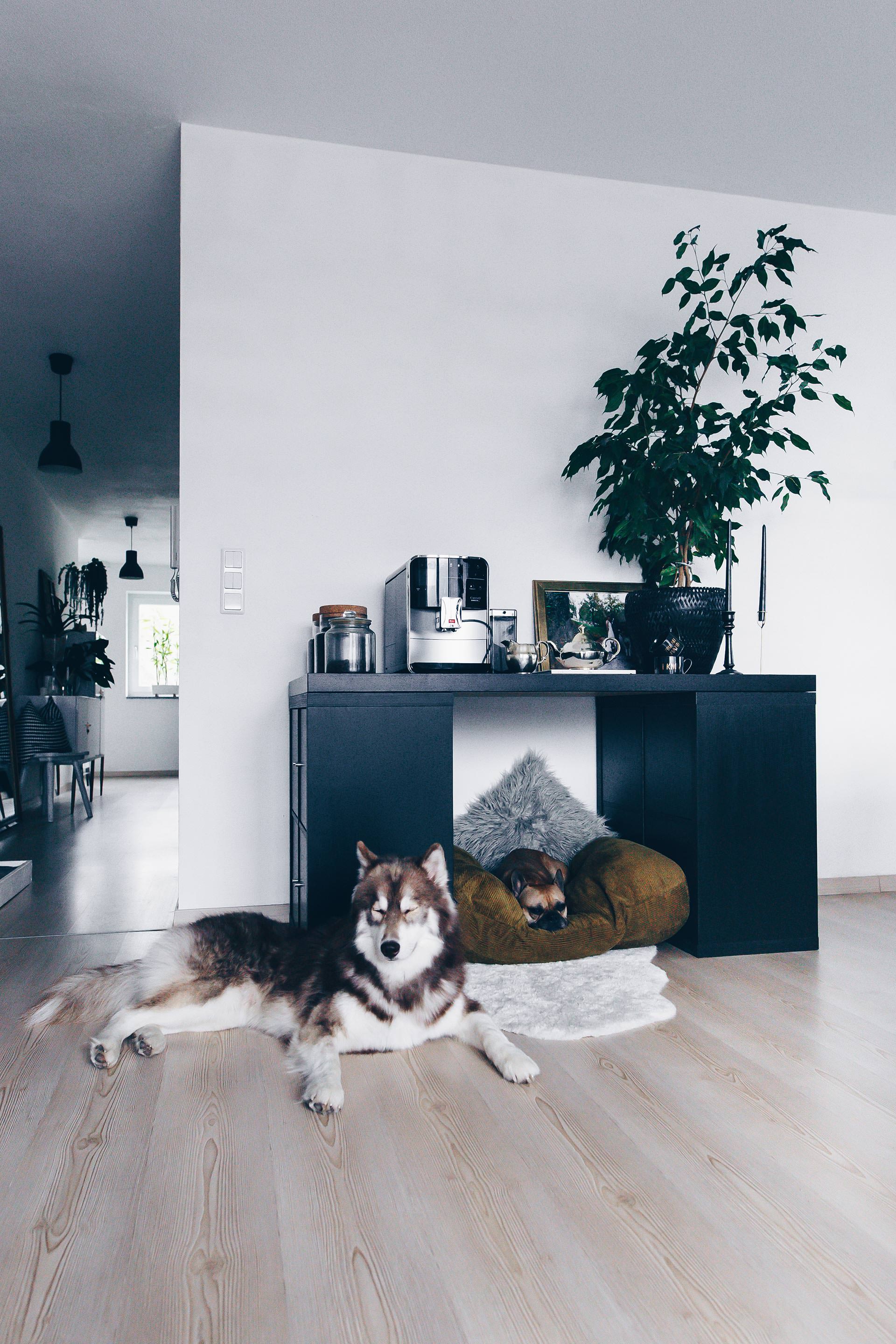 Hundehütte für die Wohnung selber bauen, DIY Hundehütte, Hundehütte für drinnen mit Dach, Hundeblog, Ideen für Hundehütte, Stauraum, Arbeitsfläche, DIY für die Wohnung, Interior Blog, sibirischer Husky, französische Bulldogge, www.whoismocca.me