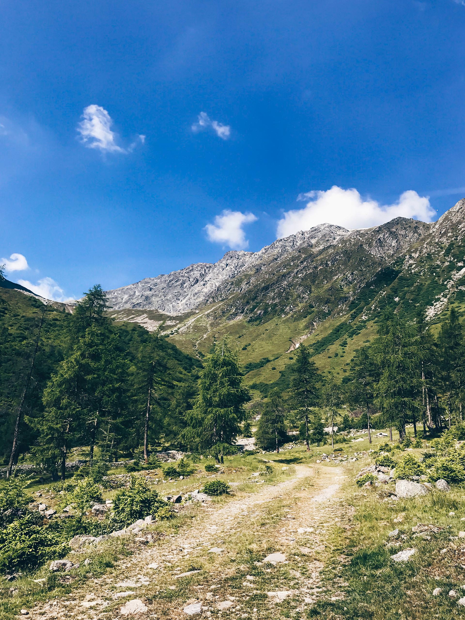 Wandern mit Hund in Tirol, Hundstalsee, Inzinger Alm, Leben mit Hund, Alltag mit Hund, Hundeblog, Wandertour mit Hund, Style Blog, sibirischer Husky, französische Bulldogge, www.whoismocca.me