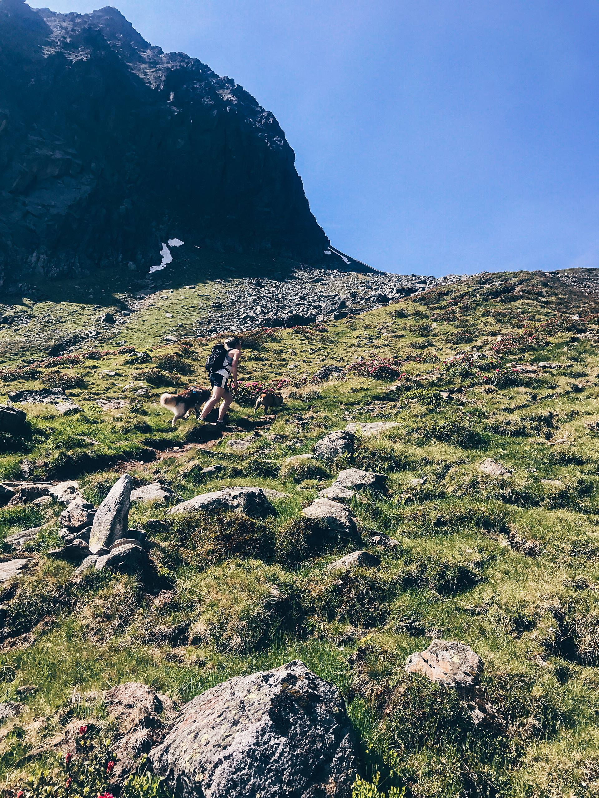 Wandern mit Hund in Tirol, Hundstalsee, Inzinger Alm, Leben mit Hund, Alltag mit Hund, Hundeblog, Wandertour mit Hund, Style Blog, sibirischer Husky, französische Bulldogge, www.whoismocca.me