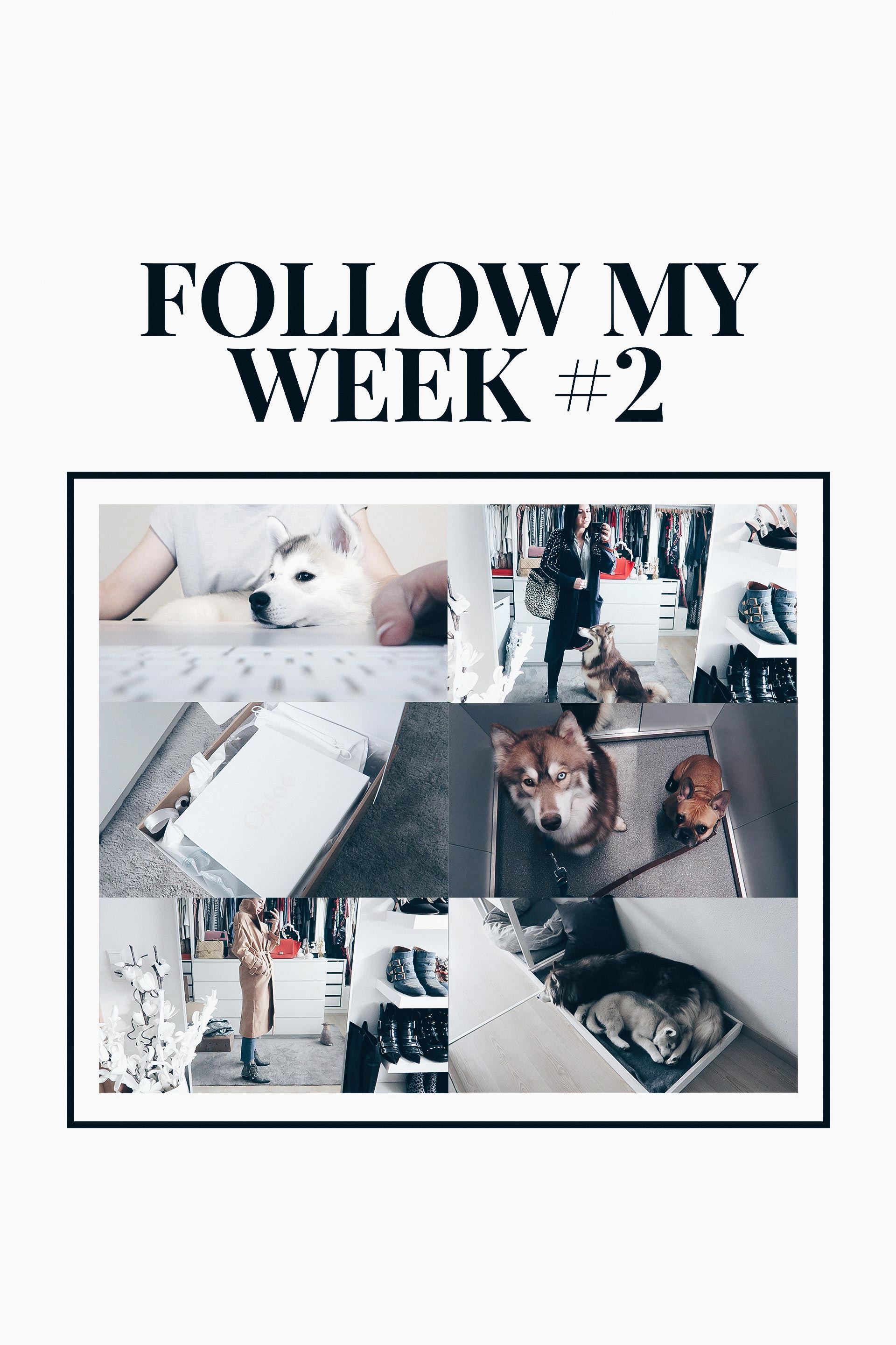 Follow My Week, Weekly Vlog, Vlogs auf Deutsch, Vlogger Österreich, Leben und Alltag mit Hund, Blogger Home Office, Arbeitsalltag, Shopping Haul, Ankleideraum, www.whoismocca.me