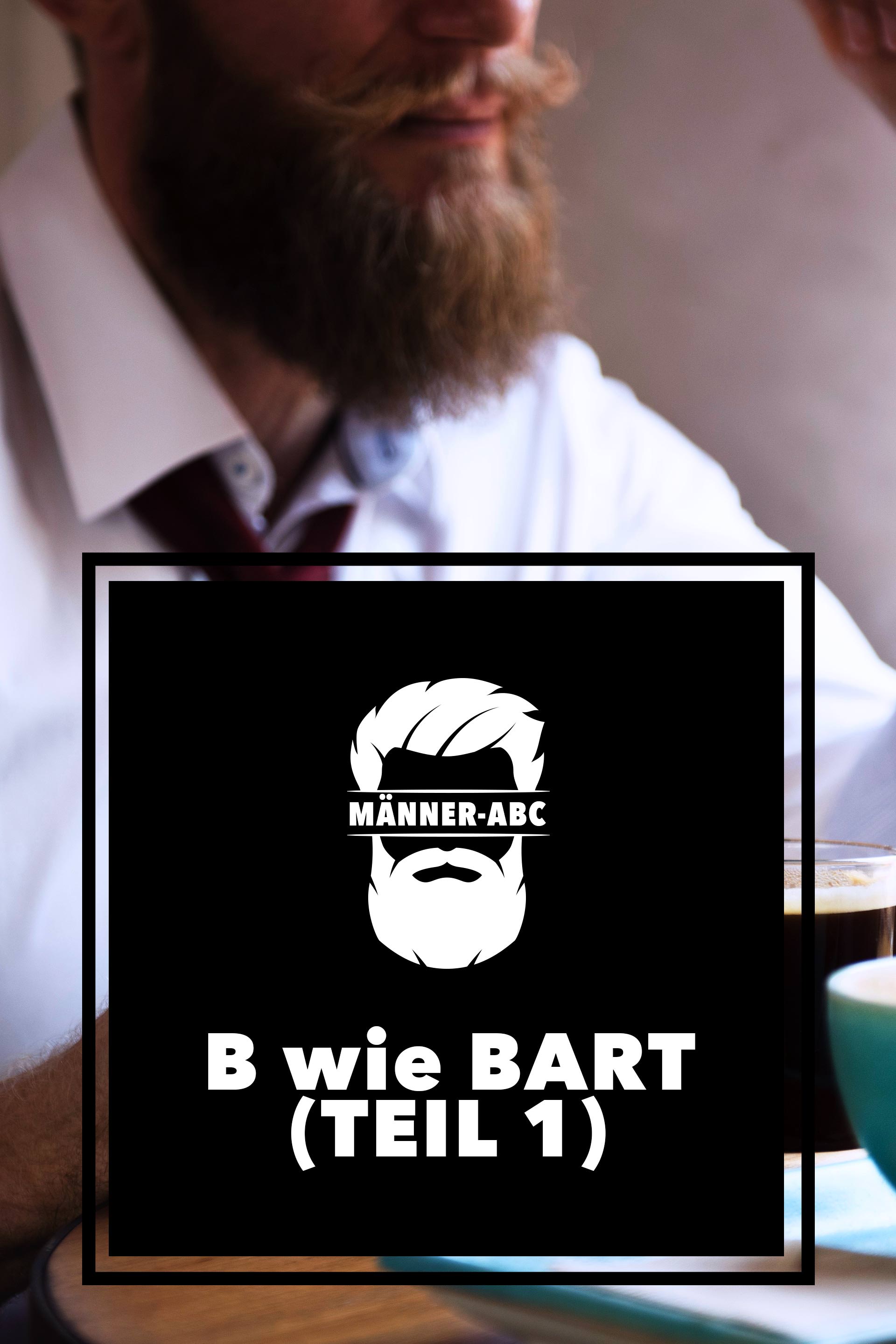 Männer ABC, Welcher Bart passt zu welchem Gesicht, welcher Bart steht mir, Barttypen im Überblick, Bart richtig pflegen, Männerblog, Beauty Blog, Erfahrungsbericht, www.whoismocca.me