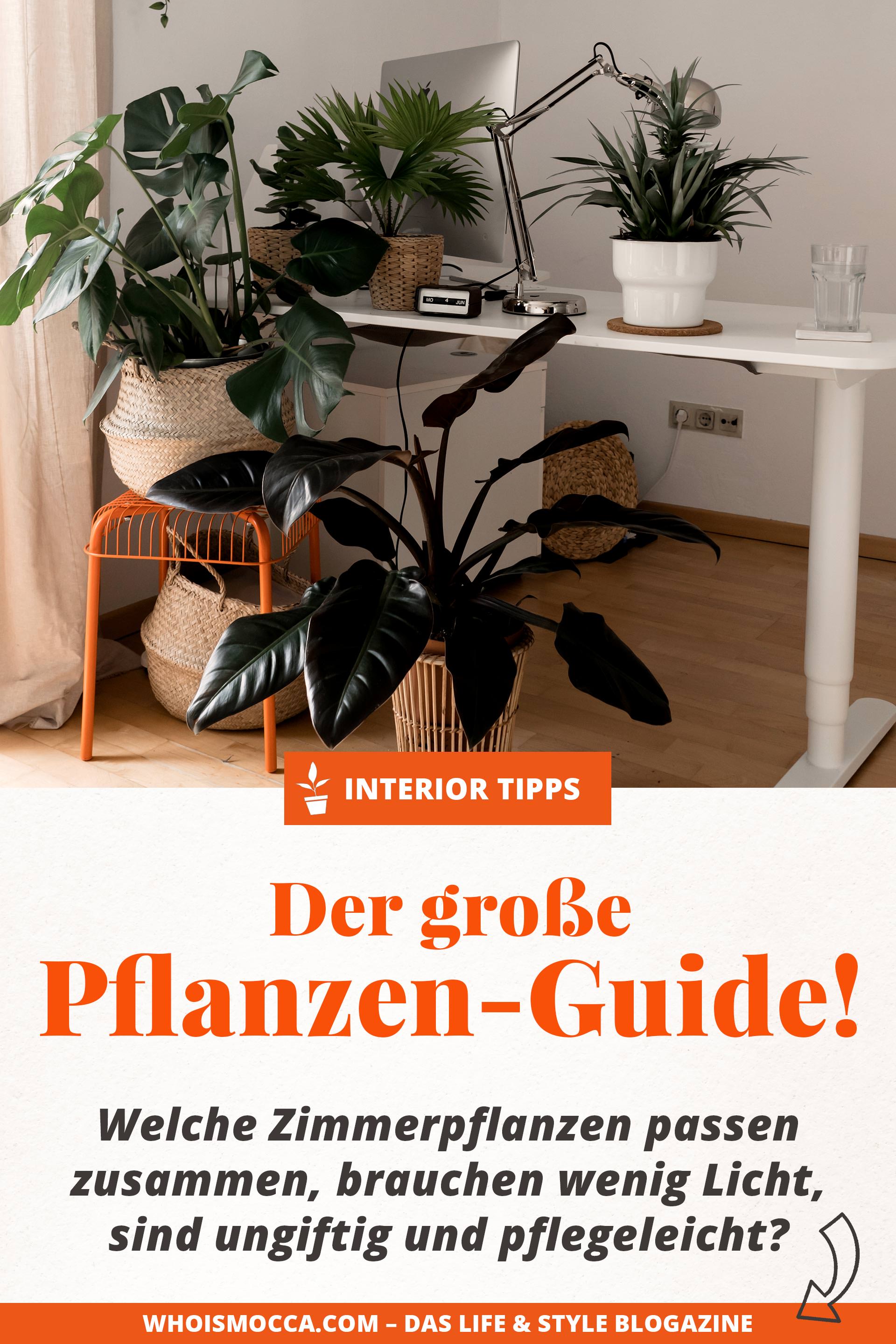 Pflegeleichte grüne zimmerpflanzen, welche zimmerpflanzen passen zusammen, welche zimmerpflanzen brauchen wenig licht, welche zimmerpflanzen sind #ungiftig, Dekotipps mit blumen, #dekotipps #pflanzen, yucca palme, immergrüne pflanzen, #immergrüne pflanzen für schattige standorte, yucca palme zimmerpflanze, grüne zimmerpflanzen die wenig licht brauchen, pflegeleichte zimmerpflanzen, #zimmerpflanzen #trends, Grünpflanzen, #grünpflanzen für drinnen, #Interior Blog, Blogazine, www.whoismocca.me