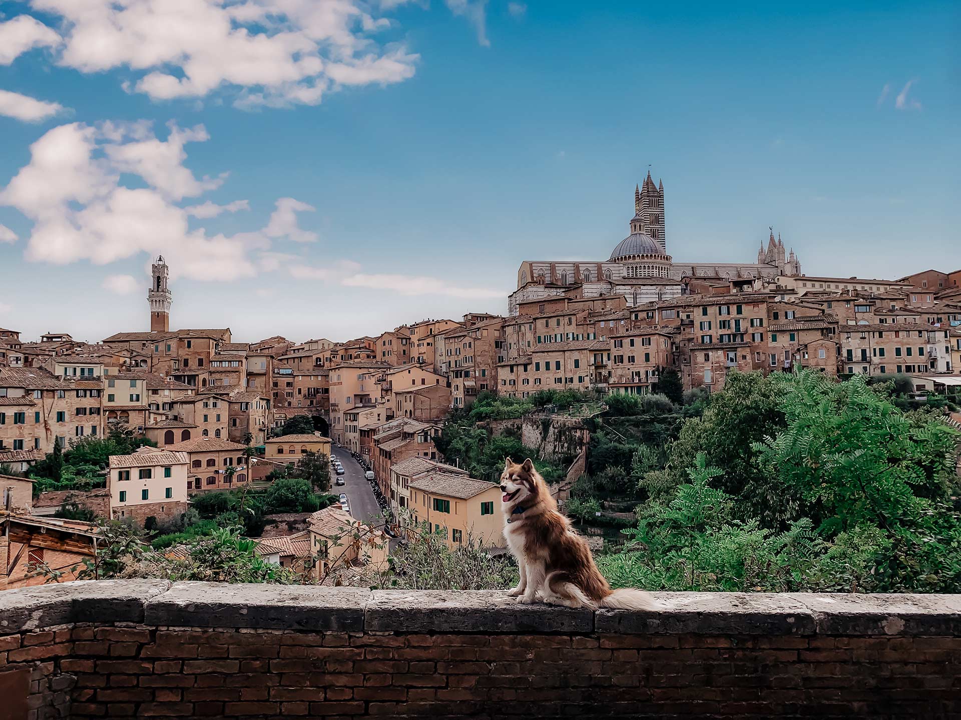 Werbung. Auf meinem Reiseblog verrate ich dir heute alles über unseren Toskana-Roadtrip mit Hund. Wie unser 5-tägiger Kurztrip im Herbst war, welche Orte in der Toskana wir besucht haben und welche Unterkünfte wir empfehlen können, liest du jetzt am Blog. www.whoismocca.me #toskana #roadtrip #kurztrip #mazda3 #drivetogether #mazda3citylife